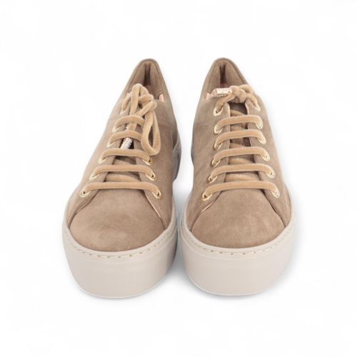 AGL Sneaker Zand dames (Crystal New  - Crystal New) - Rigi