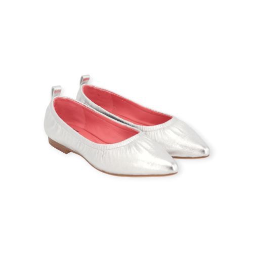 BlackRose Venice mocassin in zilver shining leer voor dames. 