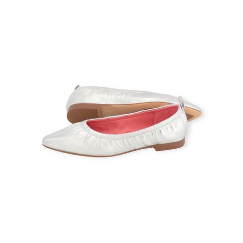 BlackRose Venice mocassin in zilver shining leer voor dames. 