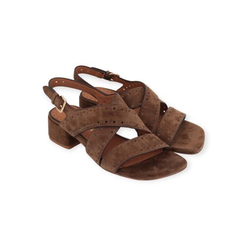 Bruno Premi 4203 dames sandaal in bruin suede leer. Bruno Premi 4203 dames sandaal in bruin suede leer.