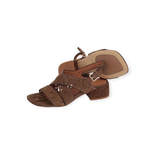 Bruno Premi 4203 dames sandaal in bruin suede leer. Bruno Premi 4203 dames sandaal in bruin suede leer.