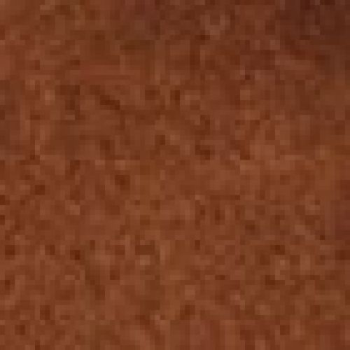 Coccinelle Hand- en schoudertas Cognac dames (Coccinelle Sabine Suede Bi E1TLB180201 W - Coccinelle Sabine Suede Bi E1T) - Rigi