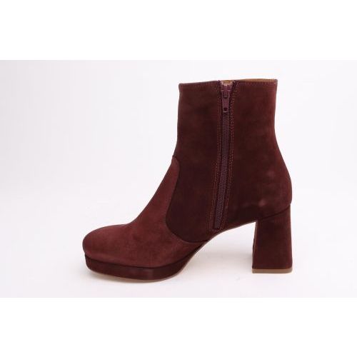 CTWLK - Catwalk Enkellaars - Boots Bordeaux dames (Barcelona/12 - Barcelona/12) - Rigi