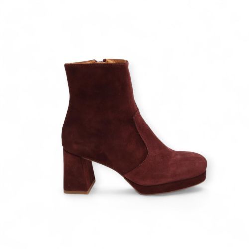 CTWLK - Catwalk Enkellaars - Boots Bordeaux