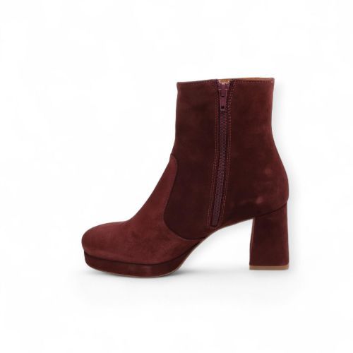 CTWLK - Catwalk Enkellaars - Boots Bordeaux dames (Barcelona/12 - Barcelona/12) - Rigi