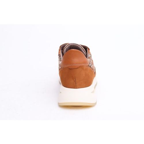 DL Sport Sneaker Cognac dames (6334 - 6334) - Rigi