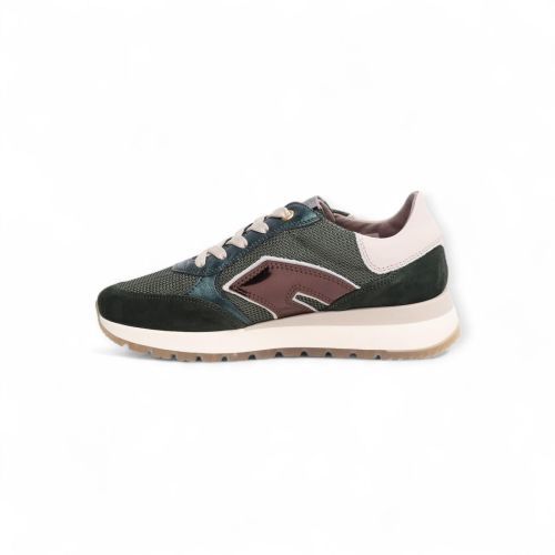 DL Sport Sneaker Groen dames (6343 Nancy - 6343 Nancy) - Rigi