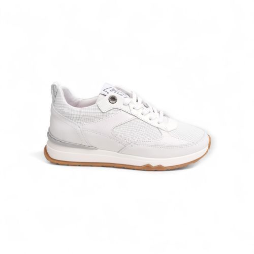 Floris Van Bommel Sneaker Wit