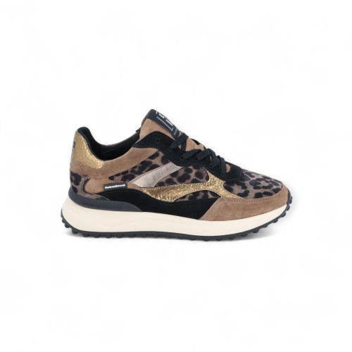 Floris Van Bommel Sneaker Leopard