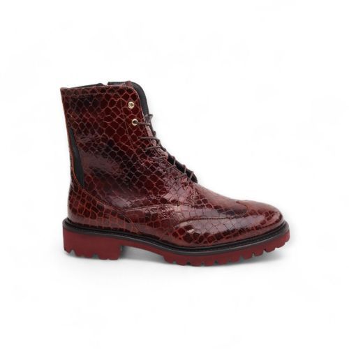 Floris Van Bommel Enkellaars - Boots Bruin