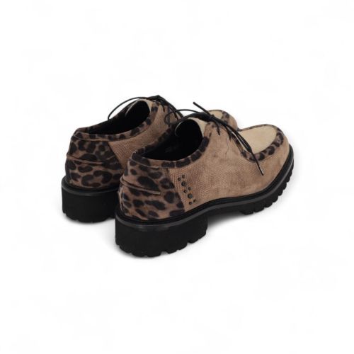 Floris Van Bommel Veter Taupe dames (Selsi 04.04 SFW-30036-34-01 - Selsi 04.04 SFW-30036-34-01) - Rigi Floris Van Bommel Veter Taupe dames (Selsi 04.04 SFW-30036-34-01 - Selsi 04.04 SFW-30036-34-01) - Rigi