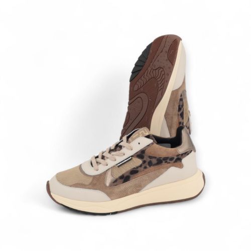 Floris Van Bommel Sneaker Taupe dames (Suvi 03.04 SFW-10159-34-01 - Suvi 03.04 SFW-10159-34-01) - Rigi