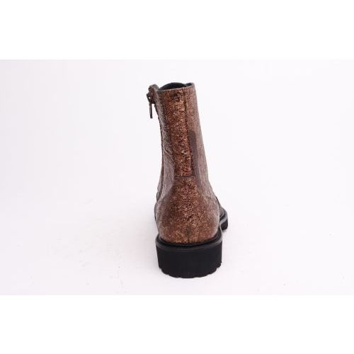 Floris Van Bommel Enkellaars - Boots Brons dames (SFW-50050-92-01 Selsi 02.03 - SFW-50050-92-01 Selsi 02.03) - Rigi