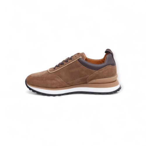 Hackett Sneaker Cognac heren (Chad Active HMS21414 - Chad Active HMS21414) - Rigi