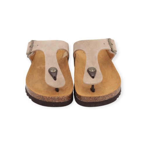 Scholl Anais slipper in beige suède voor dames.