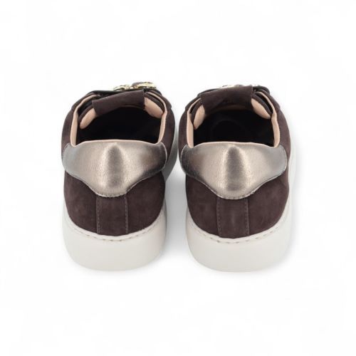 Stokton Sneaker Bruin dames (Charming 226-D - Charming 226-D) - Rigi