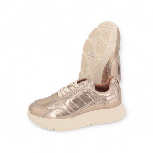 Tango Sneaker Goud dames (Kady fat 444-d - Kady fat 444-d) - Rigi