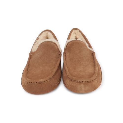 UGG Pantoffel Cognac heren (Ascot 1101110 - Ascot 1101110) - Rigi