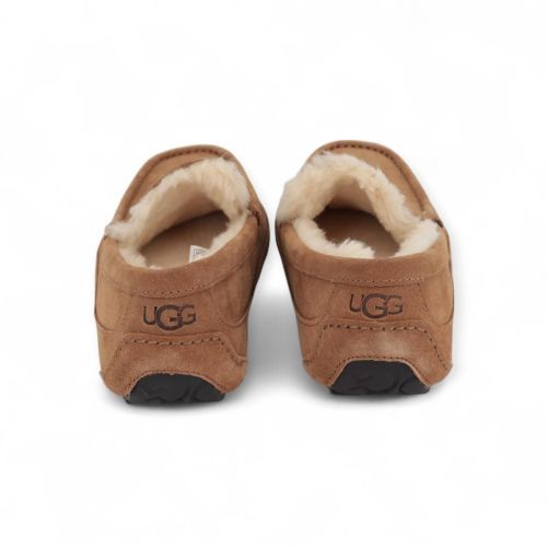 UGG Pantoffel Cognac heren (Ascot 1101110 - Ascot 1101110) - Rigi