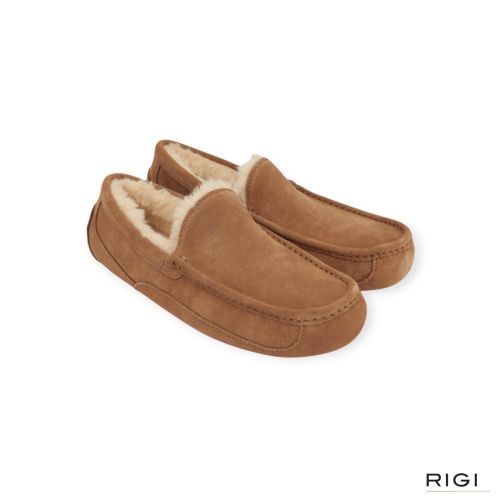 Ugg Ascot heren pantoffel in cognac suede. Ugg Ascot heren pantoffel in cognac suede.