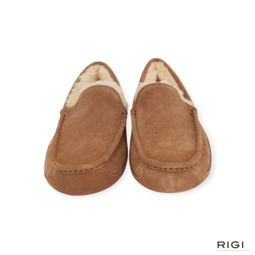 Ugg Ascot heren pantoffel in cognac suede. Ugg Ascot heren pantoffel in cognac suede.
