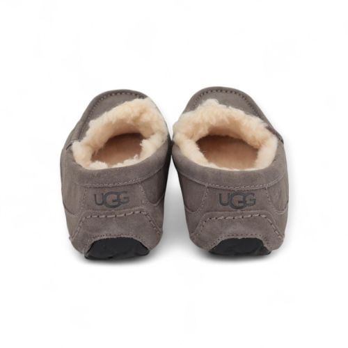 UGG Pantoffel Grijs heren (Ascot 1101110 - Ascot 1101110) - Rigi