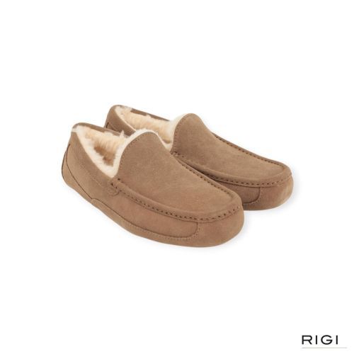 UGG Ascot pantoffel voor heren in LBNZ, lichtbruin suède. 