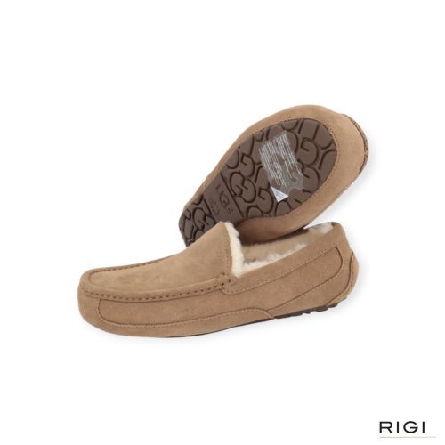 UGG Ascot pantoffel voor heren in LBNZ, lichtbruin suède. 