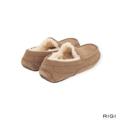 UGG Ascot pantoffel voor heren in LBNZ, lichtbruin suède. 
