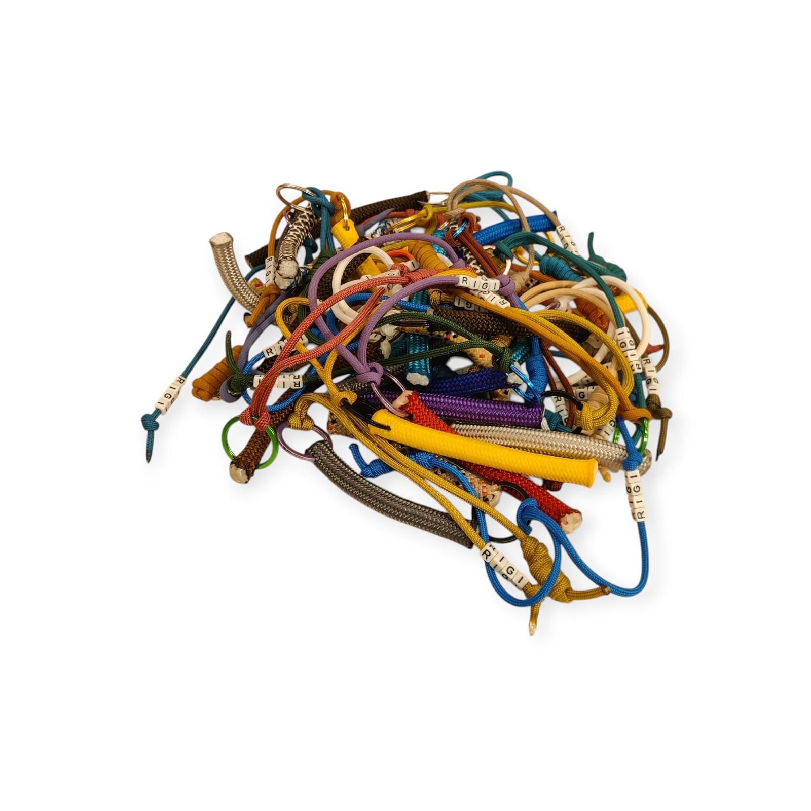 Key Chain, sleutelhanger van RIGI Key Chain, sleutelhanger van RIGI